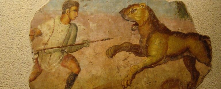 lion-fight